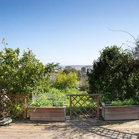 Corsica Fiurita فُياني