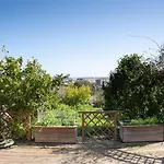 Corsica Fiurita Furiani